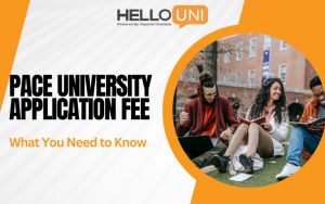 Pace University Application Fee: What You Need to Know - Hellouni Blogs