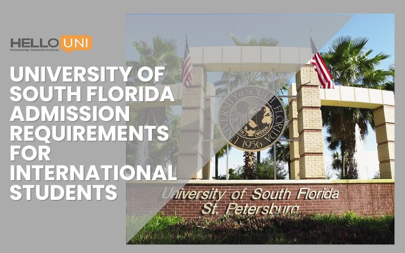 University of South Florida Admission Requirements for International Students