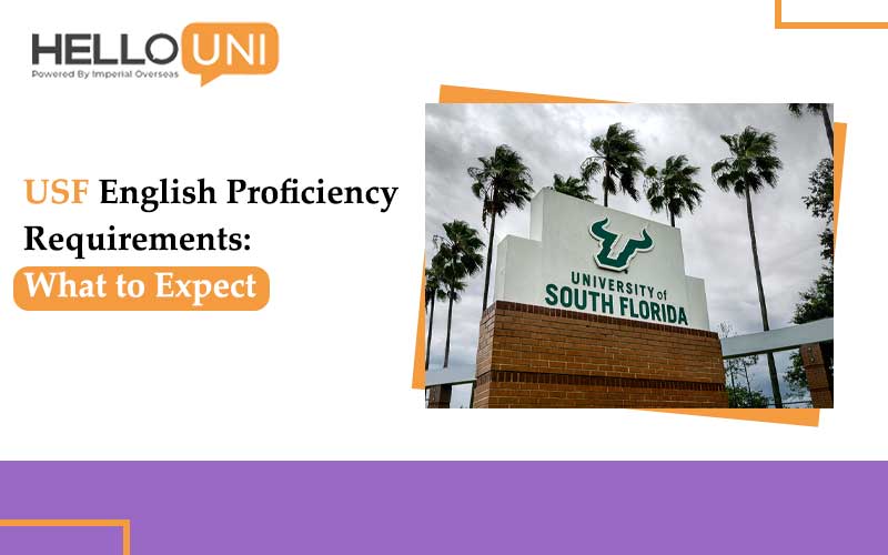 USF English Proficiency Requirements: What to Expect