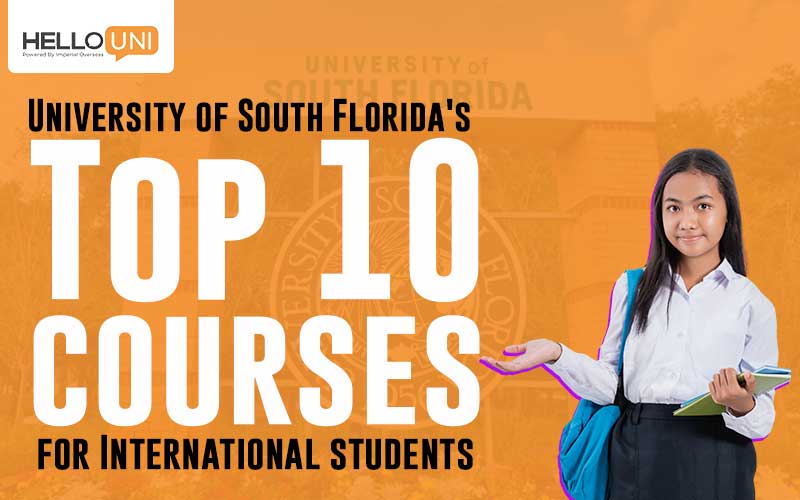 University of South Florida’s Top 10 Courses for International Students